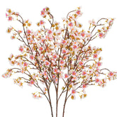 Uieke branches de cerisier face ensemble, belle présence décorative