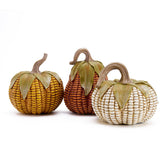 Valery Madelyn face packaging montrant lot de 3 citrouilles pour inspiration déco