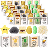 Wettarn coffret 25 boîtes face avant montrant présentation soignée
