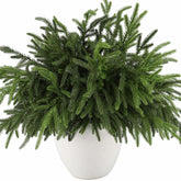 Wsorik branches en vase pour centre de table chaleureux