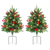XmasExp arbre d'extérieur vue avant, décor rapide et naturel