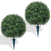 Yangrass topiaire boule de buis vue de face, apporte une entrée accueillante