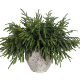 YXZZWL paquet de 16 branches Norfolk Pine réalistes pour décors