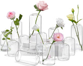 ZENS lot de 12 vases vus de face offrant élégance et stabilité