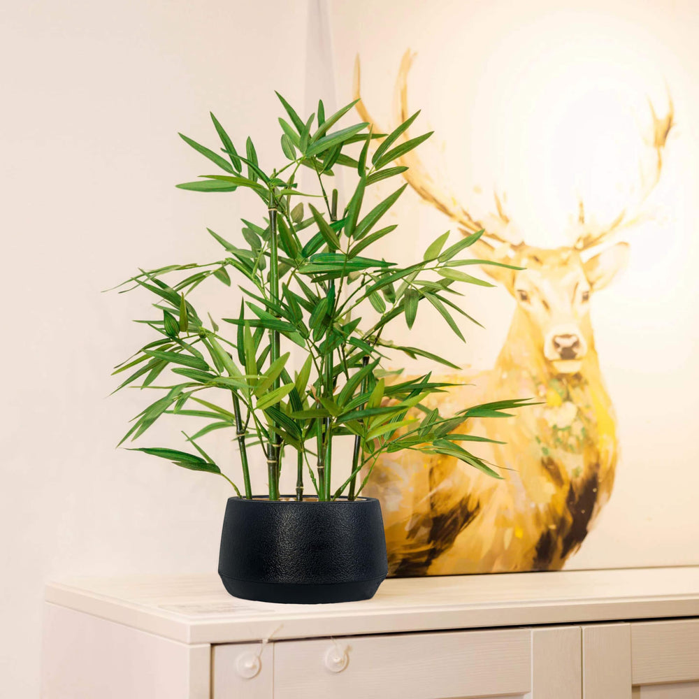 365 Blooming Decor emballage et étiquette montrant produit prêt à installer