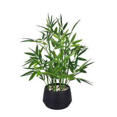 365 Blooming Decor bambou en pot noir vue frontale apporte élégance sans entretien