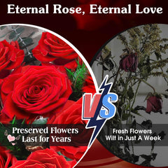 ADDWel éclairage LED chaud mettant en valeur les roses pour ambiance