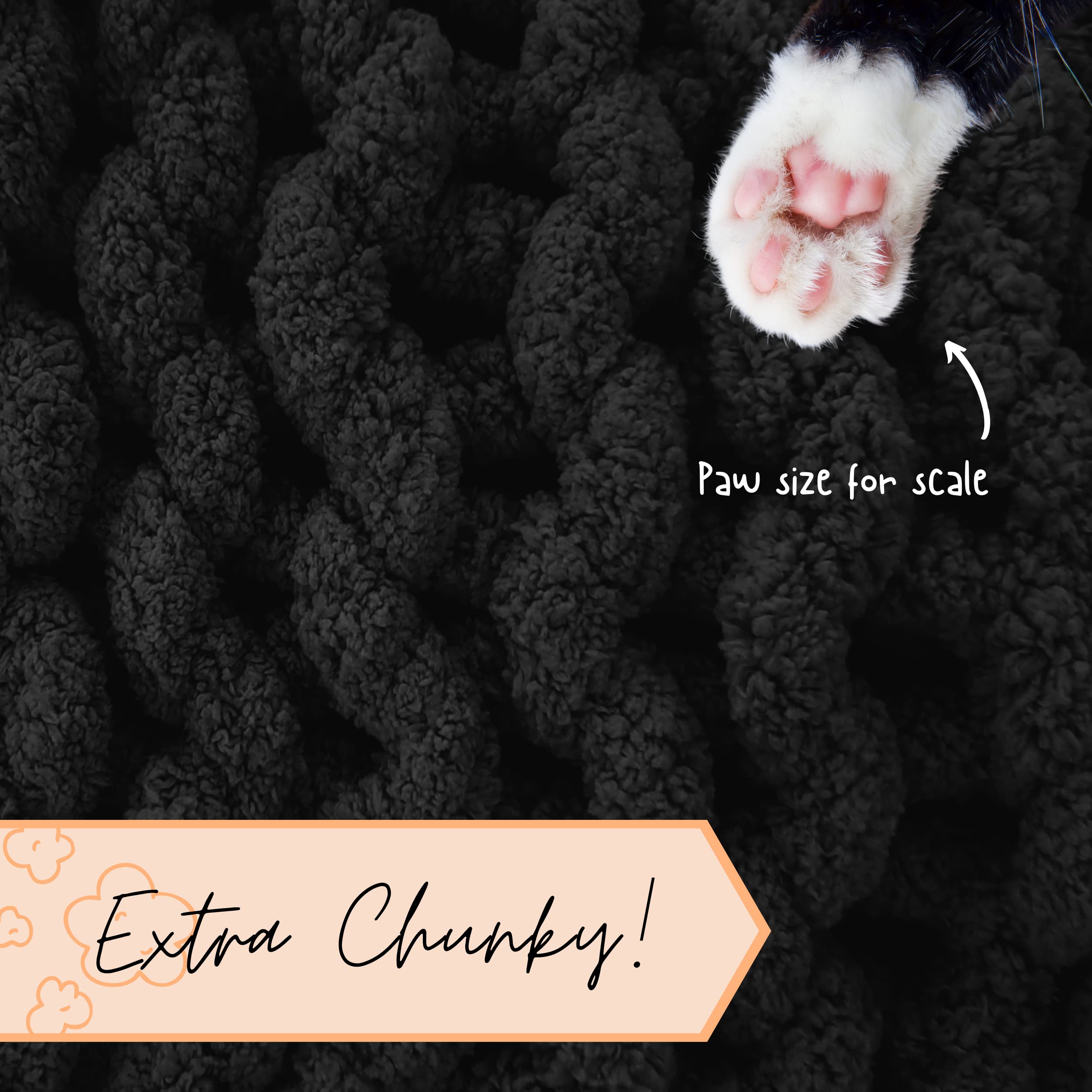 Adyrescia comparaison taille avec coussins montrant proportions pratiques