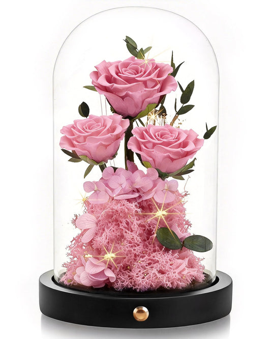 Agrul cloche montrant la rose, élégance durable pour cadeau