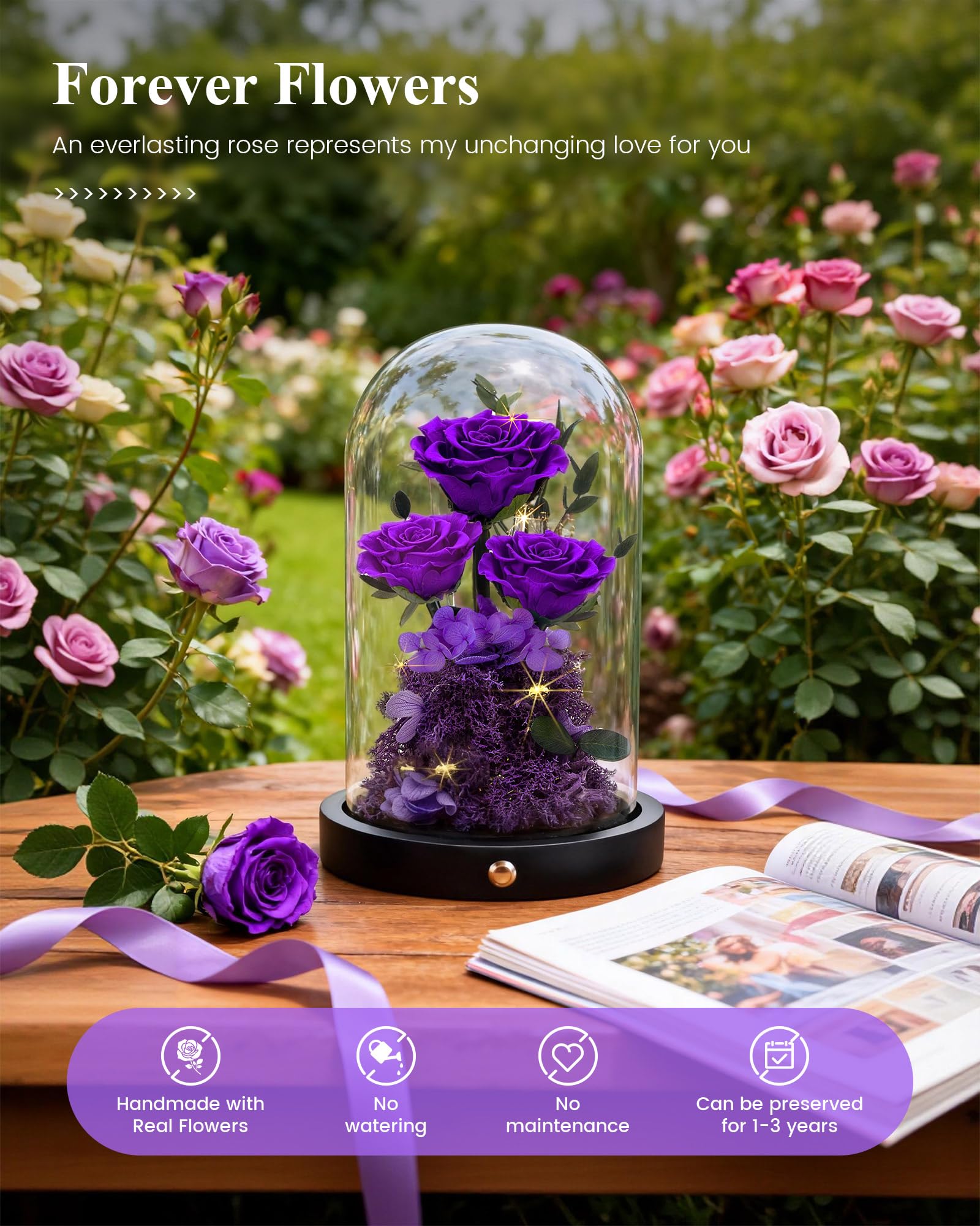Agrul cloche en verre vue de profil protégeant la fleur