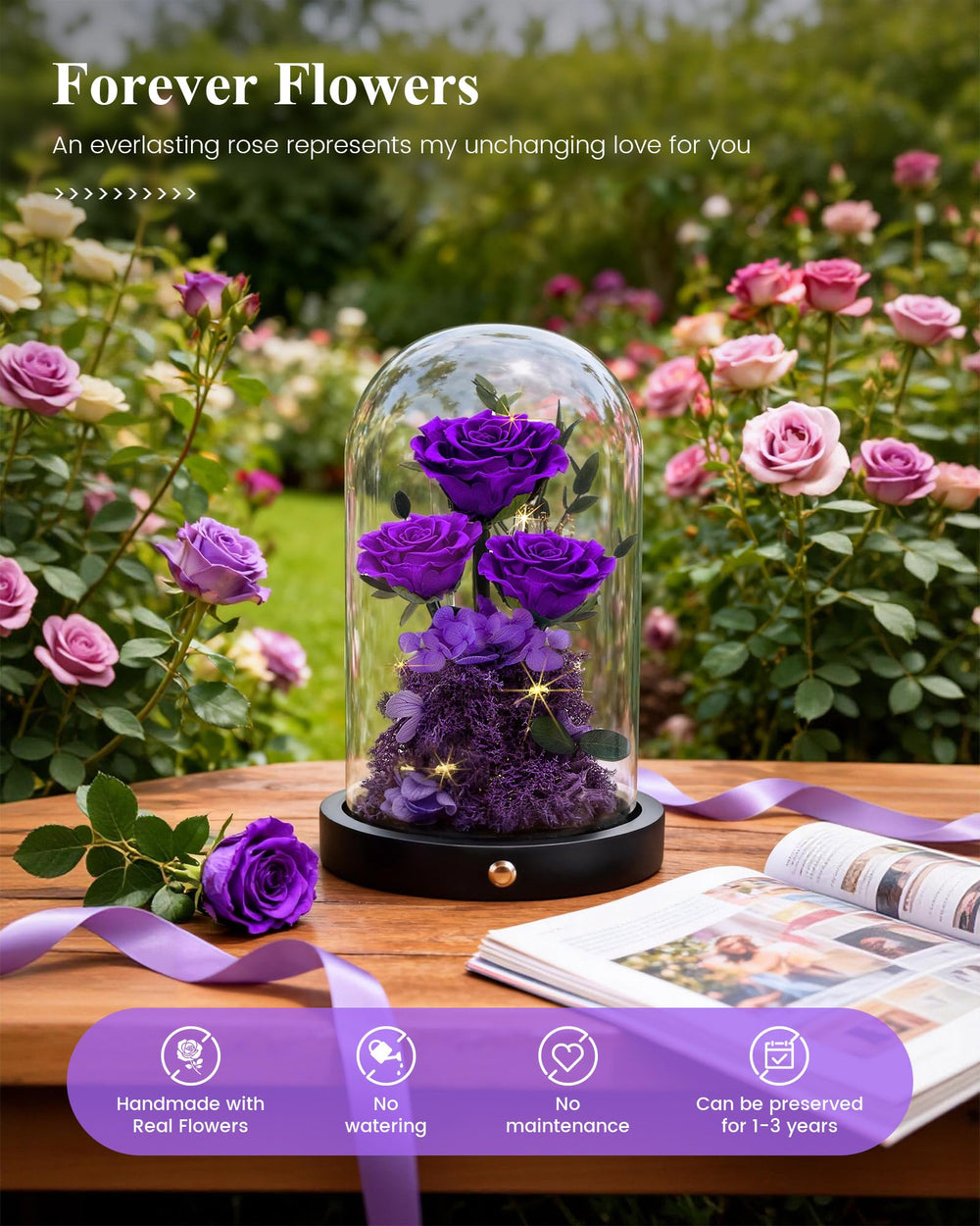Agrul cloche en verre vue de profil protégeant la fleur