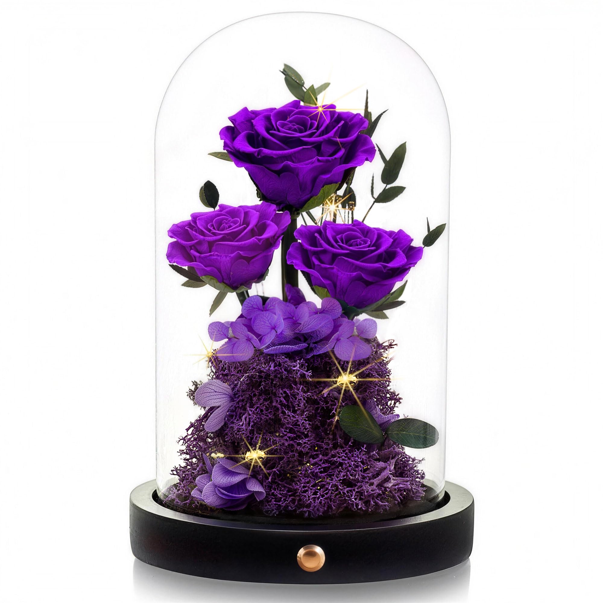 Agrul rose sous cloche face présentant élégance décorative