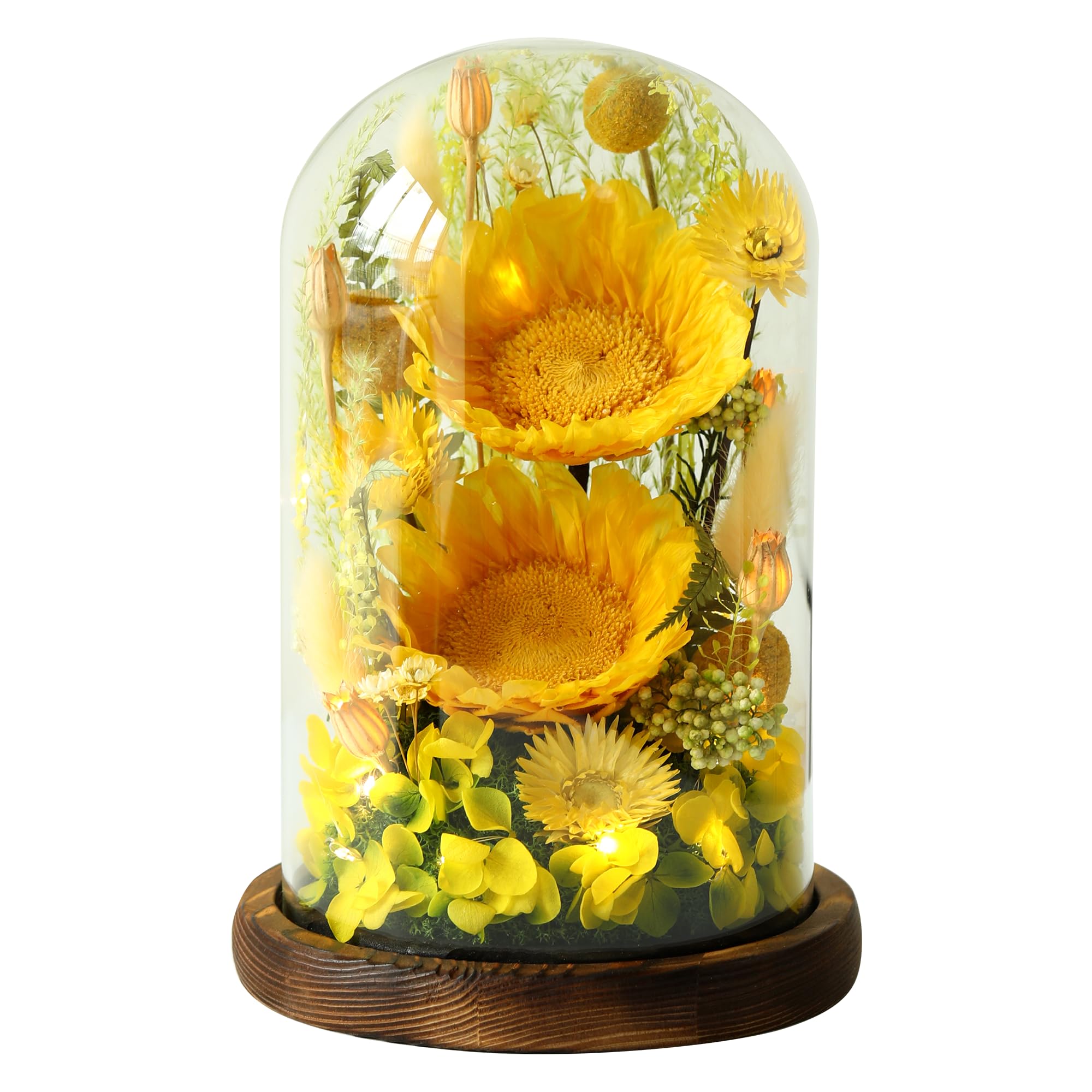 AIMEYE tournesols sous cloche face, cadeau durable et lumineux