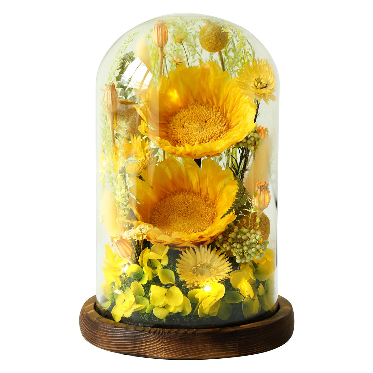 AIMEYE tournesols sous cloche face, cadeau durable et lumineux