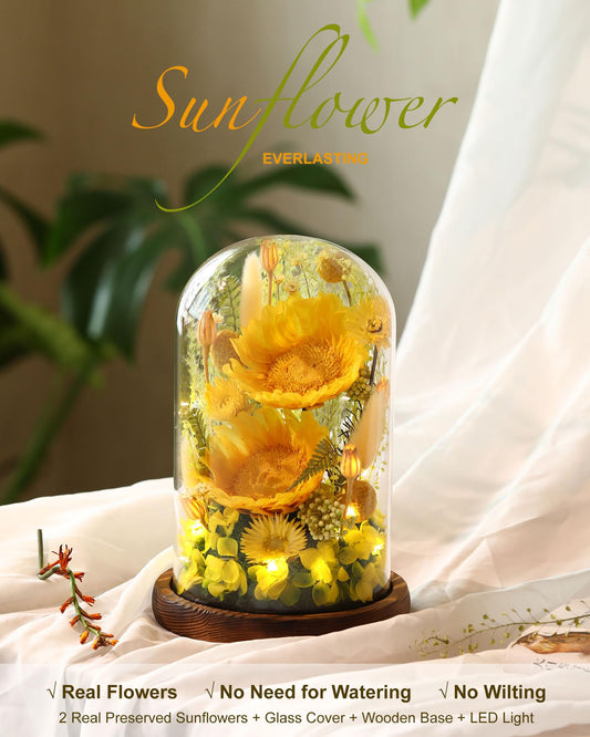 AIMEYE gros plan pétales de tournesol, texture préservée et couleur vive