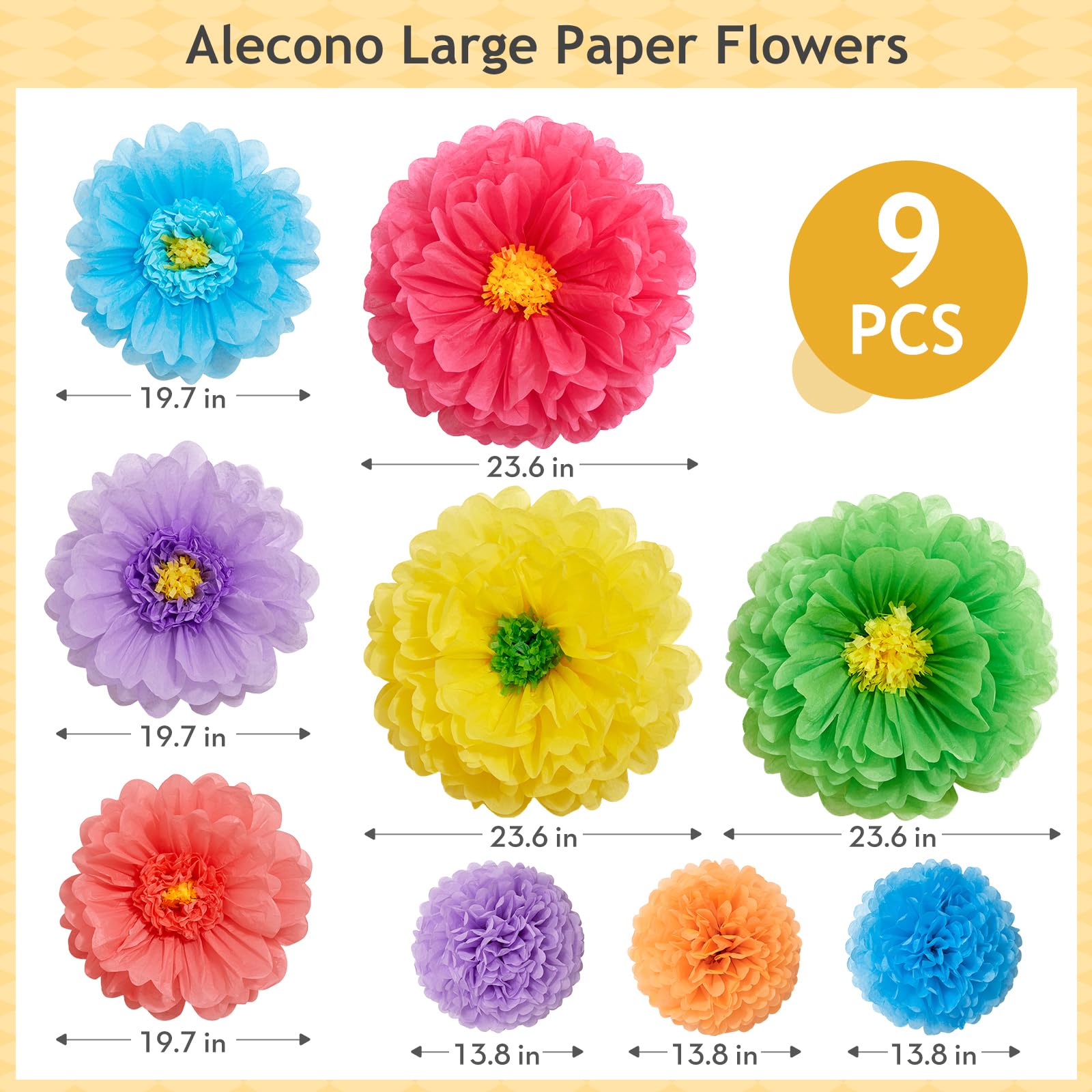Alecono comparaison d’échelle montrant tailles 24", 20" et 14"