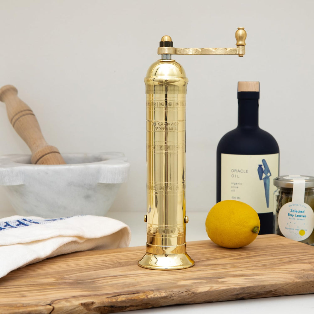 Alexander Home manche extrait pour assemblage facile et sûr