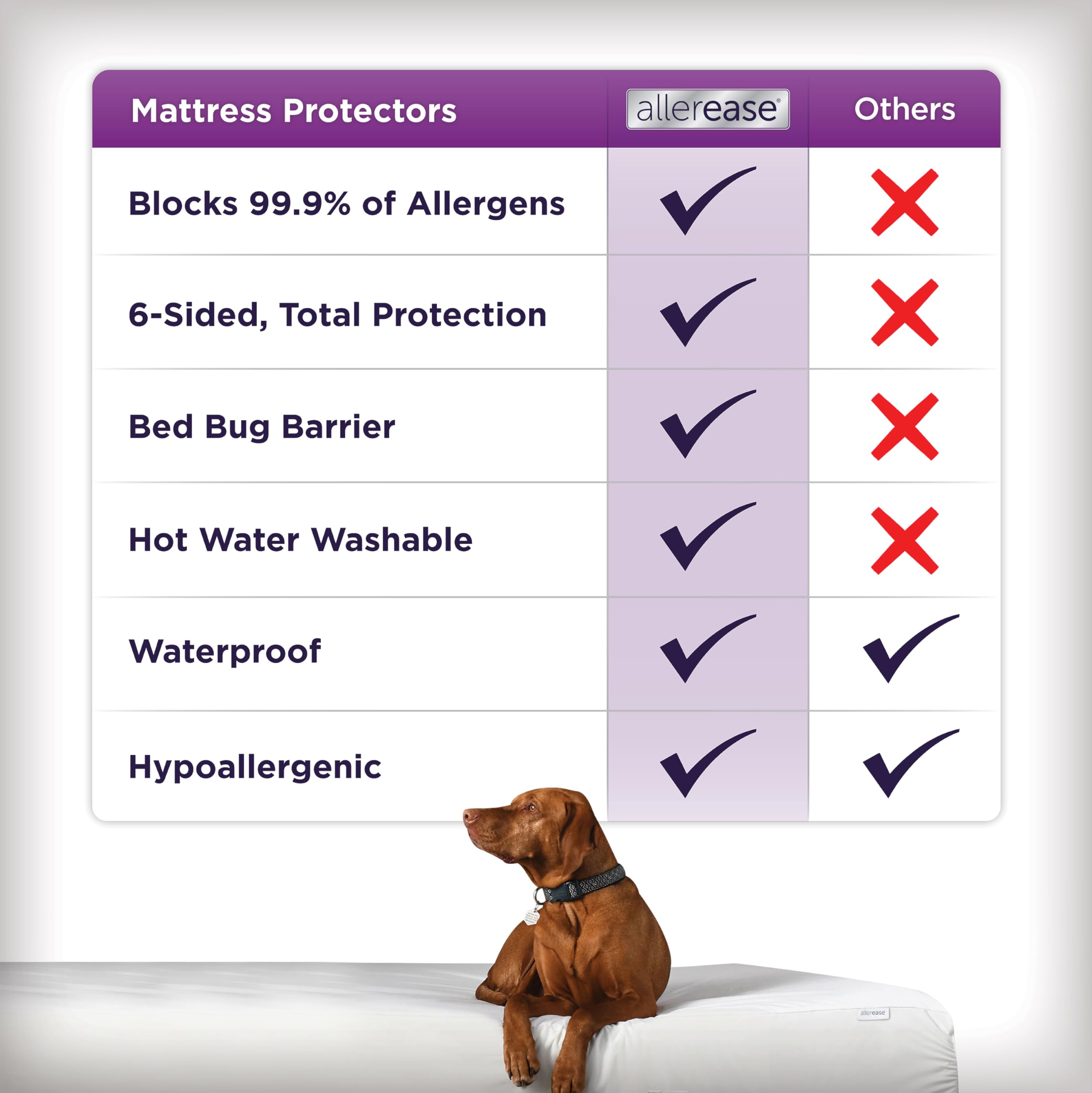 AllerEase housse en situation sur lit King offrant protection et confort