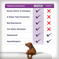 AllerEase housse en situation sur lit King offrant protection et confort