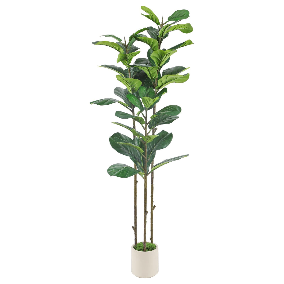 Alupssuc arbre entier 5ft montrant silhouette élégante et impact décoratif