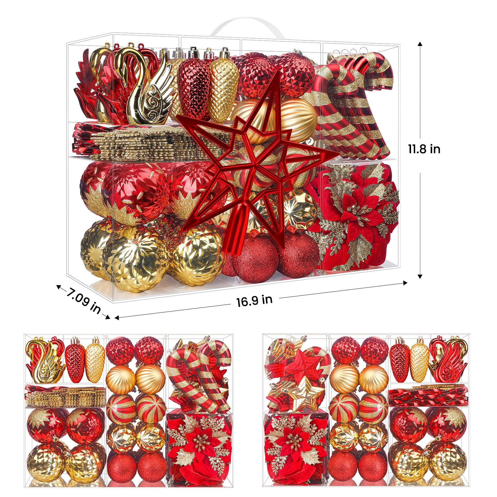 Alupssuc comparaison de taille montrant proportions et adaptation au sapin