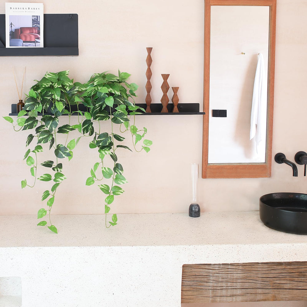 alyptus - pothos décor bohème salon crée ambiance chaleureuse