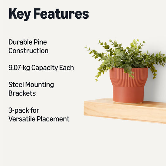 Amazon Basics gros plan sur la texture du pin révélant grain naturel et qualité