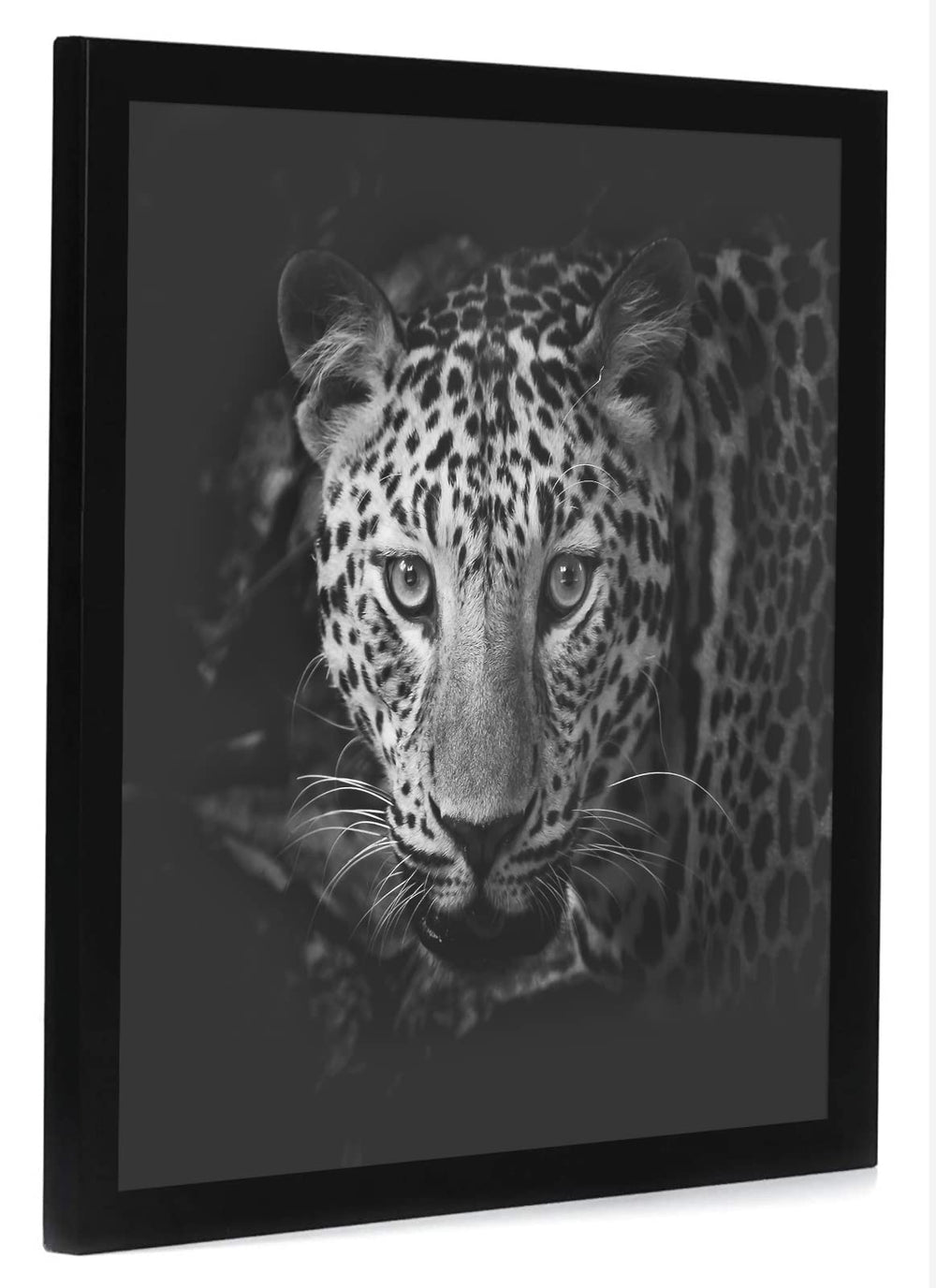 Americanflat plexiglas poli reflet montrant protection et clarté visuelle