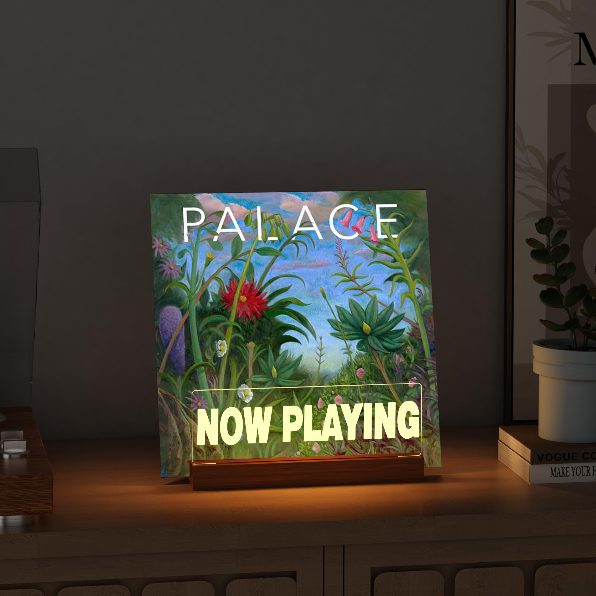 Ammonite présentoir en usage avec vinyle exposé pour mise en valeur