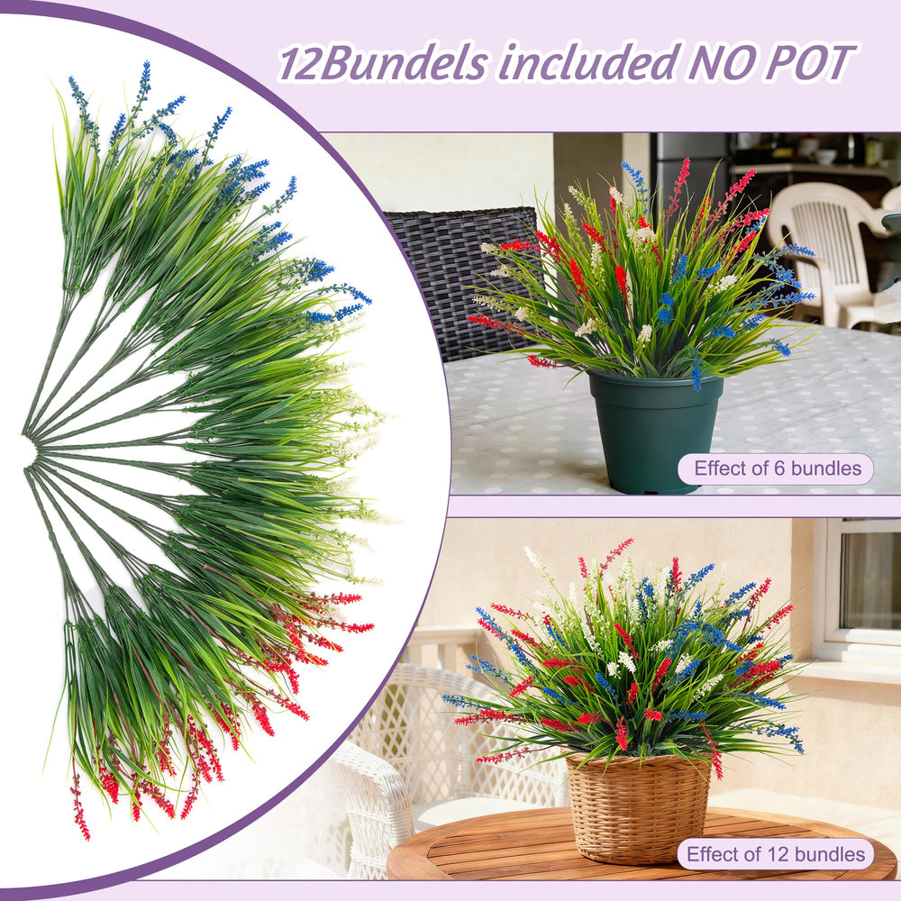Ammyoo bordant une allée pour embellir jardin sans arroser