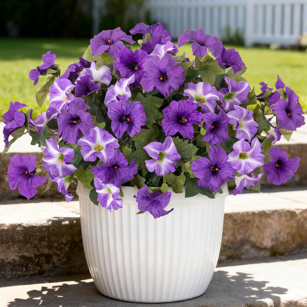 Ammyoo ensemble de six bouquets pour garnir plusieurs espaces