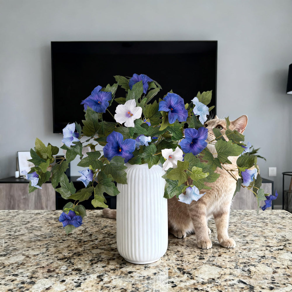 Ammyoo deux brins dans l'emballage montrant contenu du lot