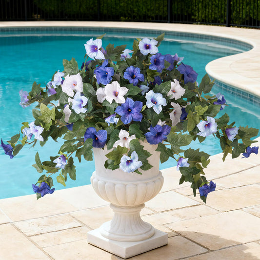 Ammyoo pétunia en avant du paquet montrant emballage et prêt à installer