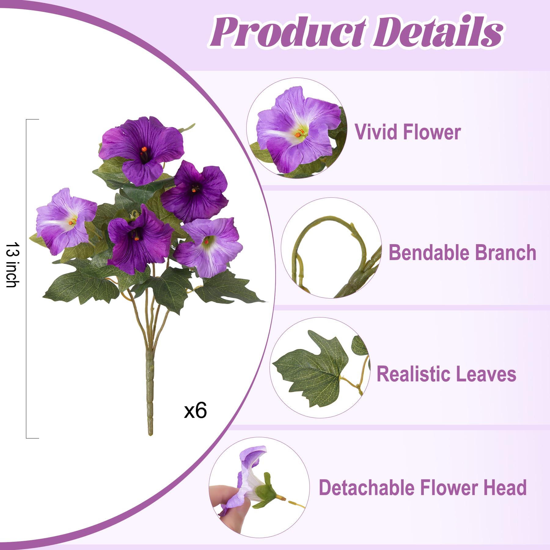 Ammyoo pétunias feuillage détail montrant feuilles denses et naturel