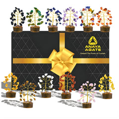 ANAYA AGATE face du coffret contenant 12 arbres, visibilité claire et cadeau prêt