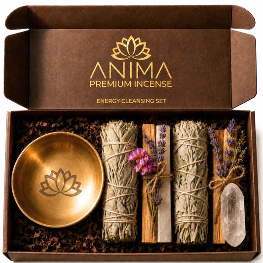 Anima coffret face montrant tous les éléments et facilité d'usage
