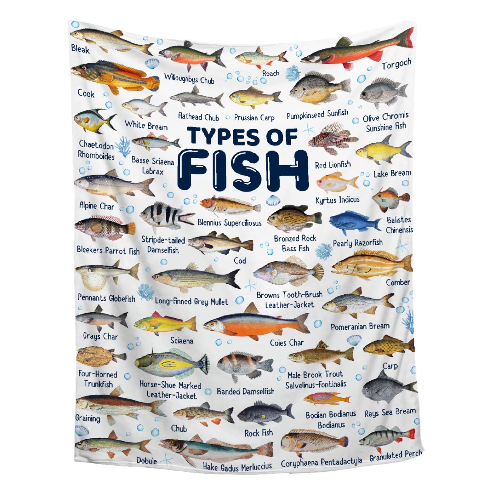 Aniruddha plaid face avant montrant motif poisson et confort visuel