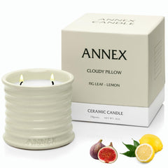 Annex pot céramique face montrant design et élégance décorative