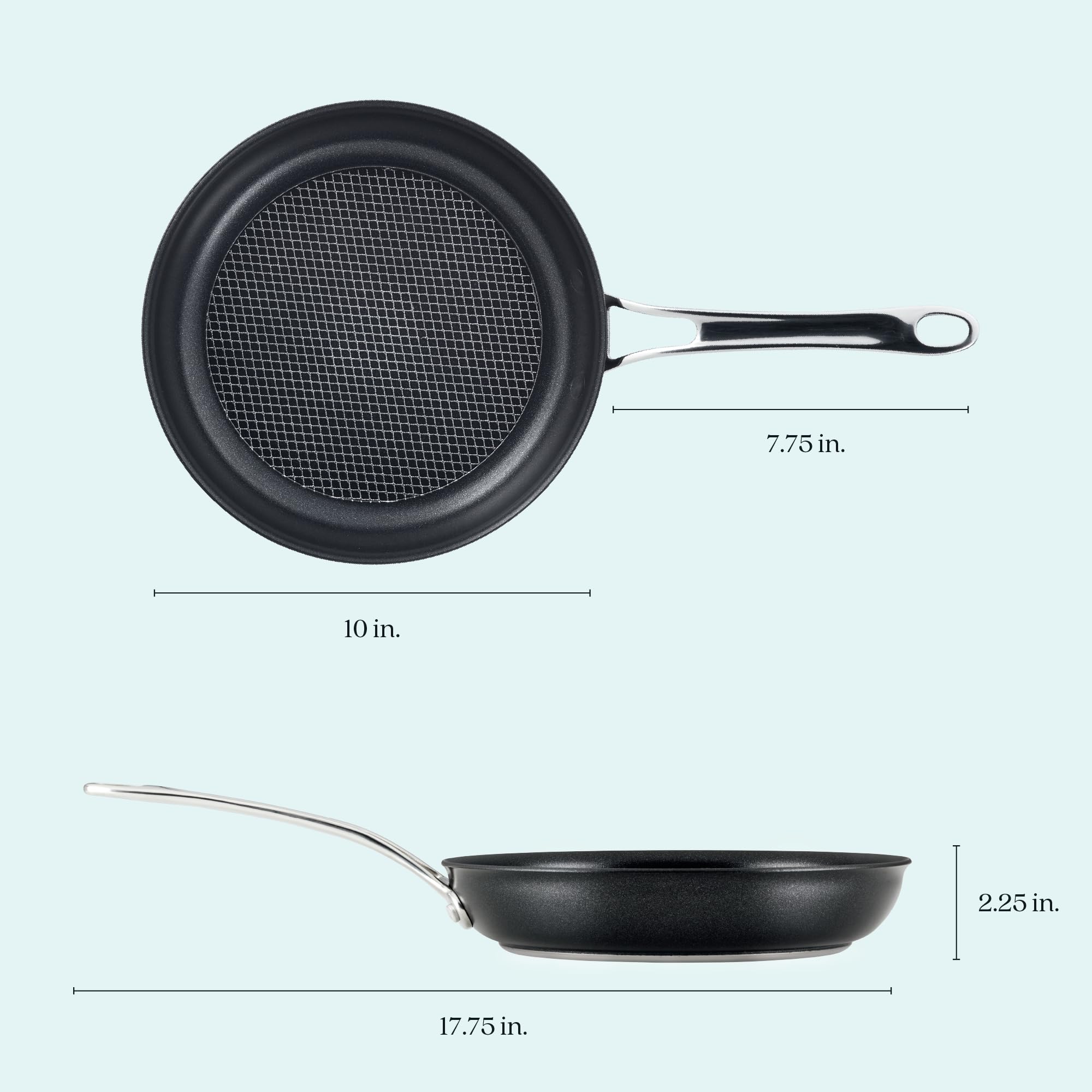 Anolon X à côté d'une assiette pour visualiser taille et échelle