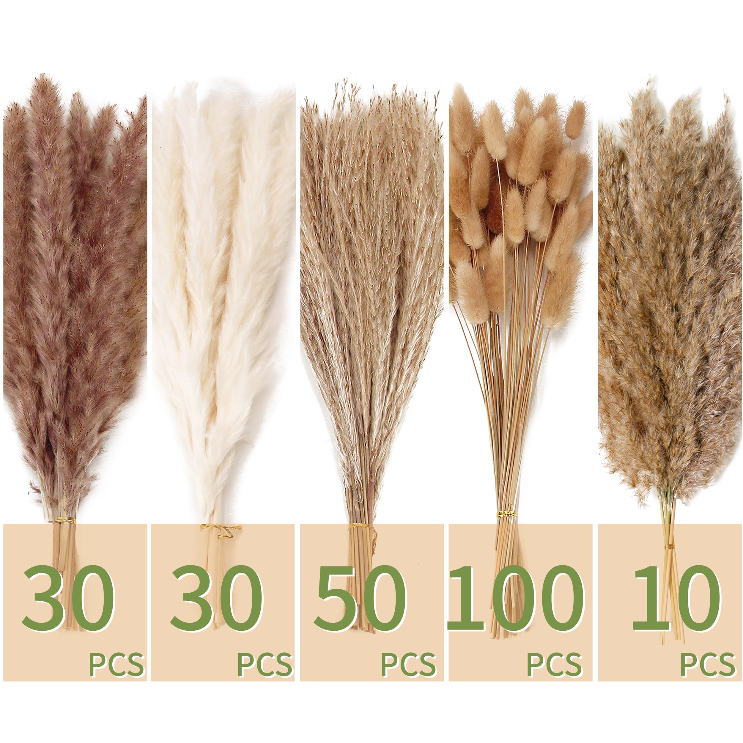 ANPROOR gros plan texture pampas illustrant douceur et volume durable