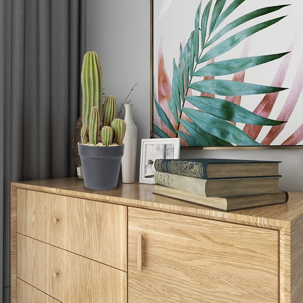 AntHousePlant dans coin salon, solution déco sans effort