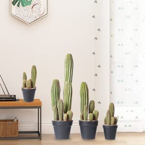 AntHousePlant détail matériau plastique facile à nettoyer