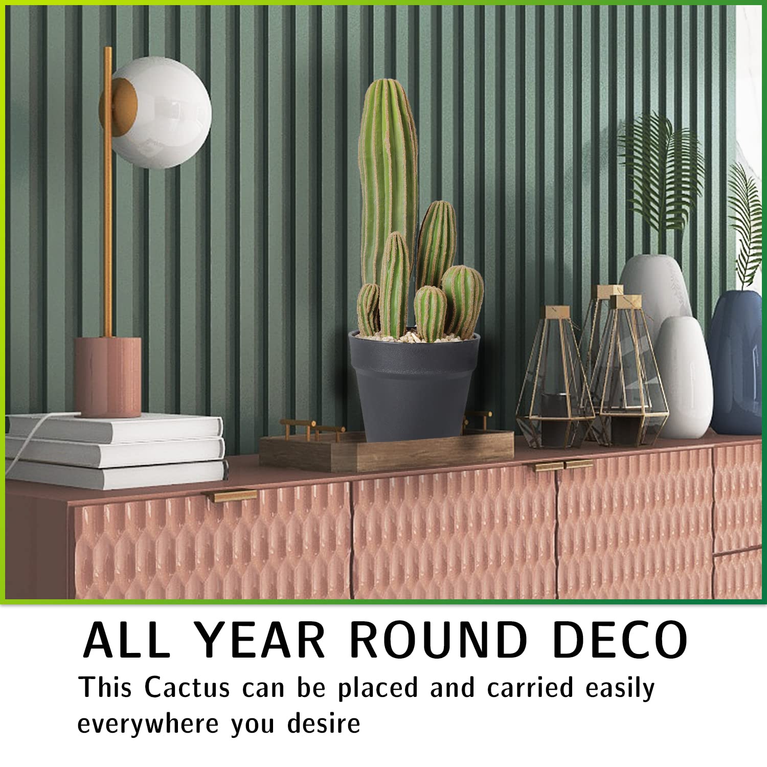 AntHousePlant cactus posé sur bureau, apporte ambiance professionnelle