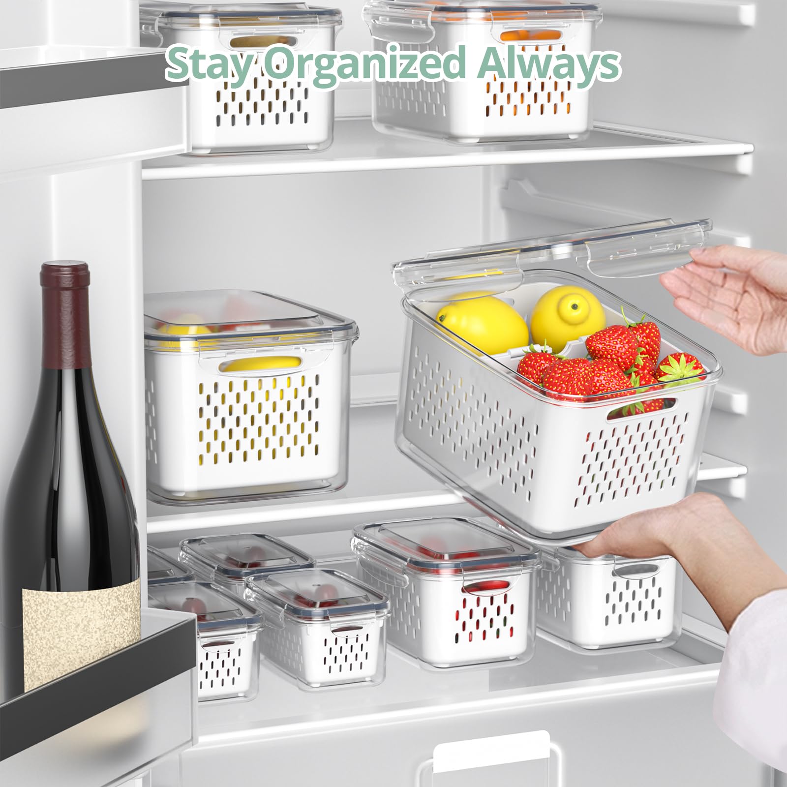 Anysig boîte avec séparateur montrant stockage de deux aliments distincts