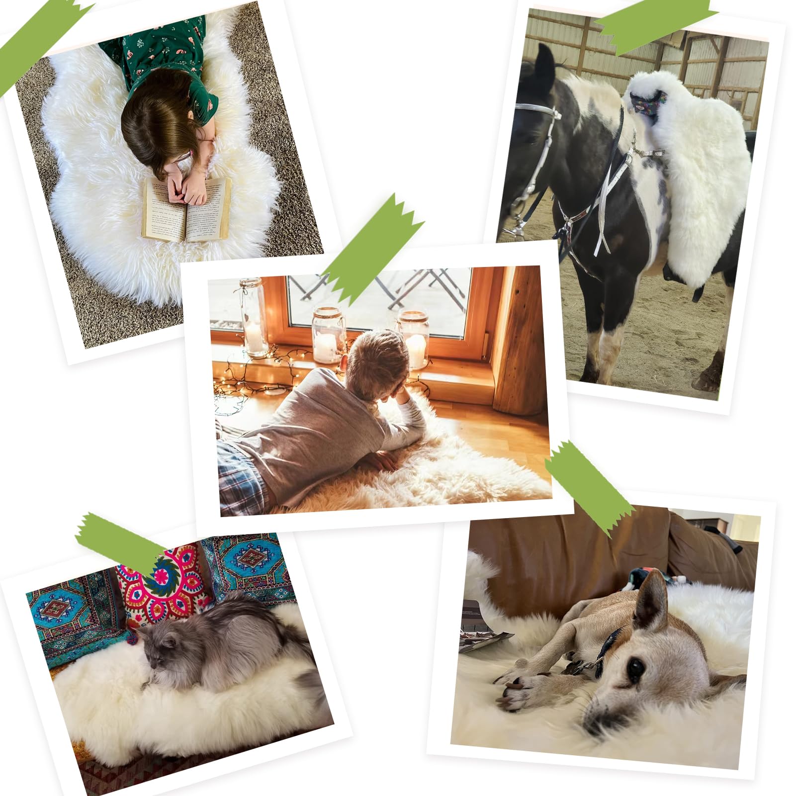 AOGELAN tapis utilisé par un chien illustrant résistance et chaleur