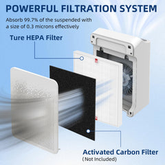 APPLIANCEMATES filtre C545 inséré dans purificateur Winix démontrant installation sans outil