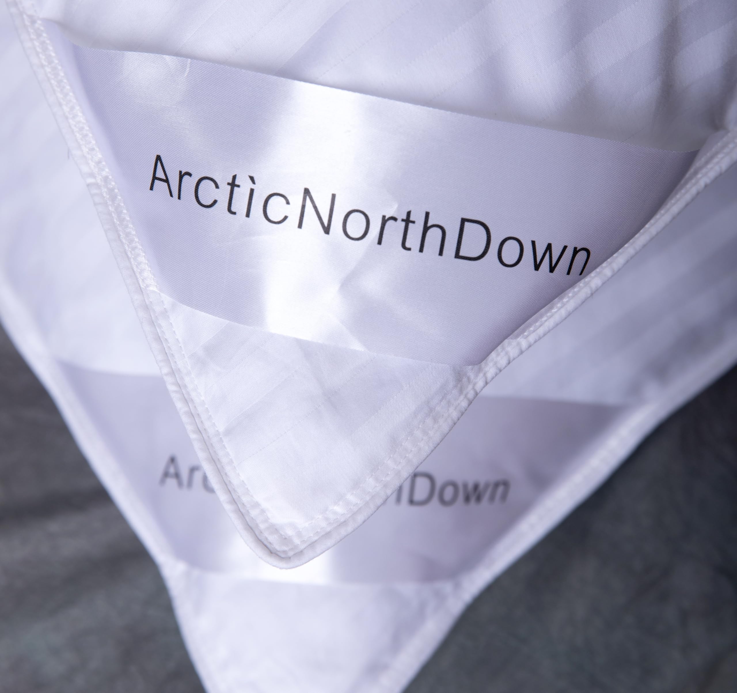 ArcticNorthDown comparaison taille avec ruban mesure, montre dimensions king