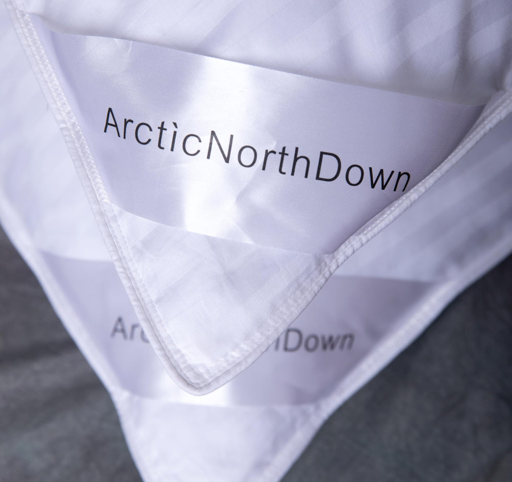 ArcticNorthDown comparaison taille avec ruban mesure, montre dimensions king