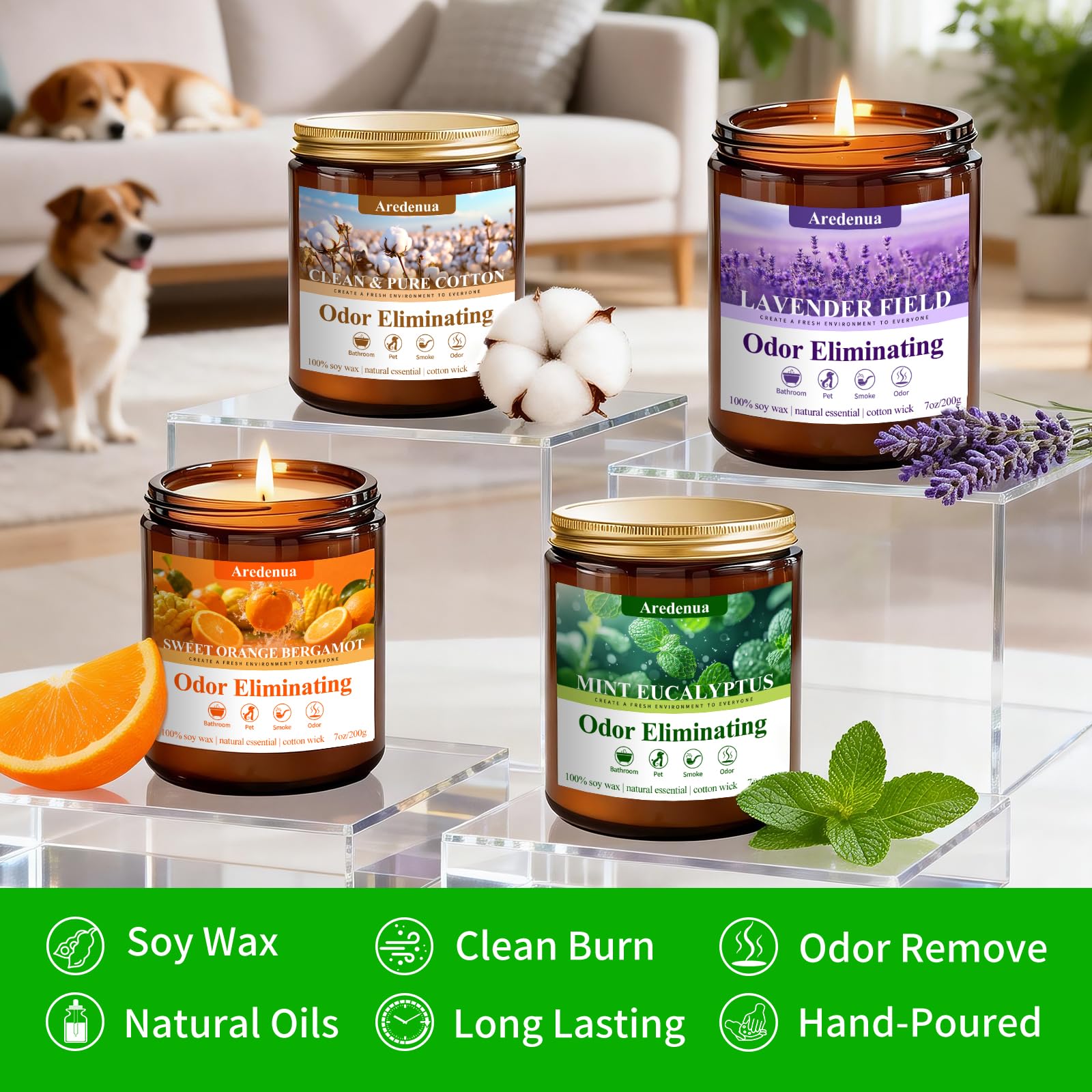 Aredenua étiquette Eucalyptus Mint en gros plan, parfums purifiants visibles