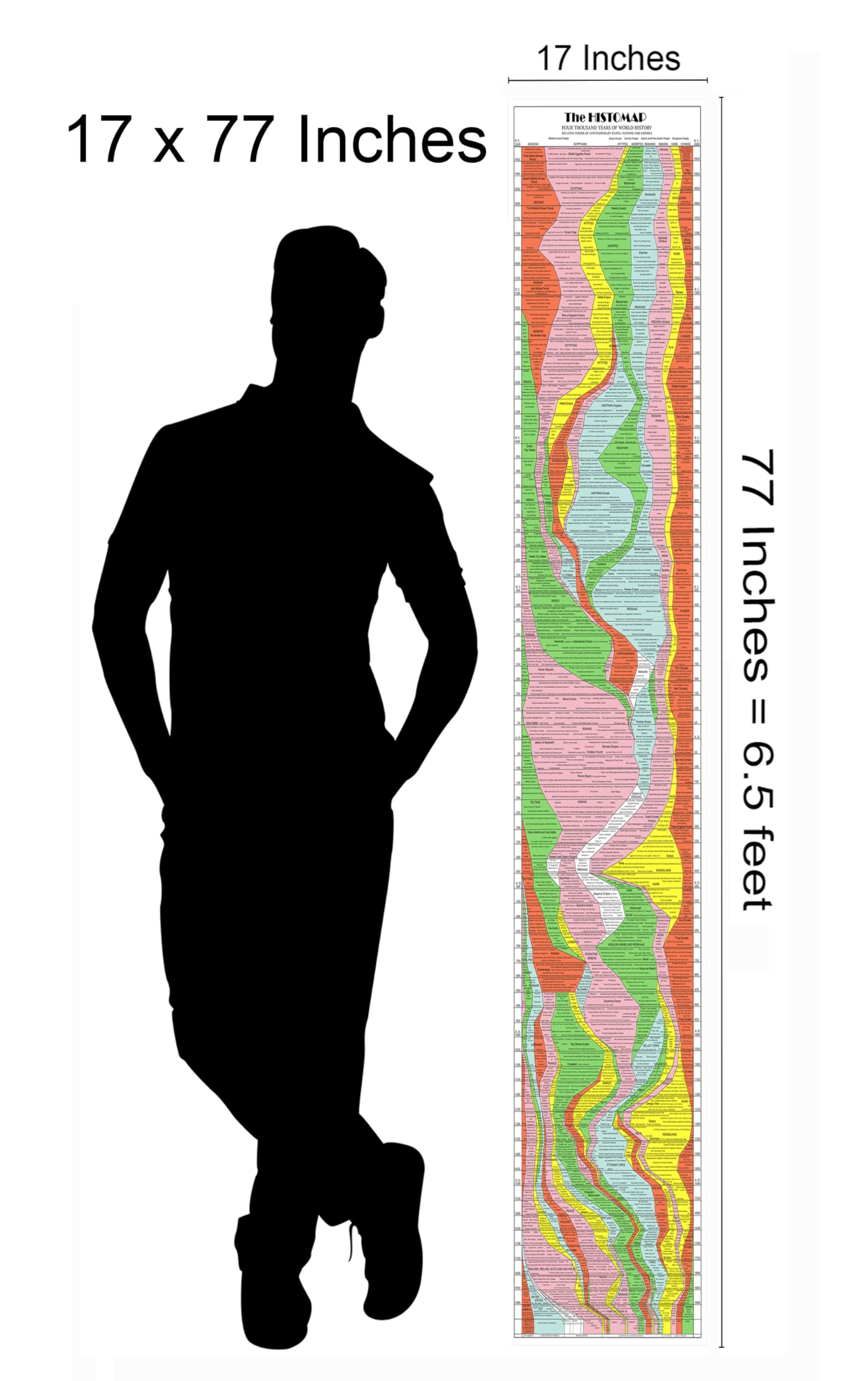 ArtCantHurtU comparaison taille montrant dimensions 17×77 pouces pour échelle